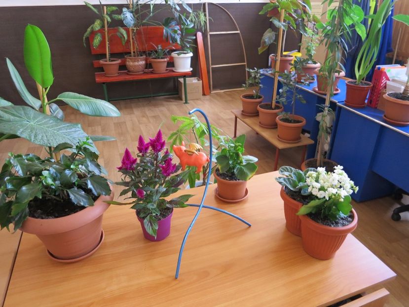  - Green office