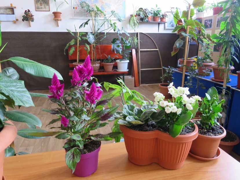  - Green office