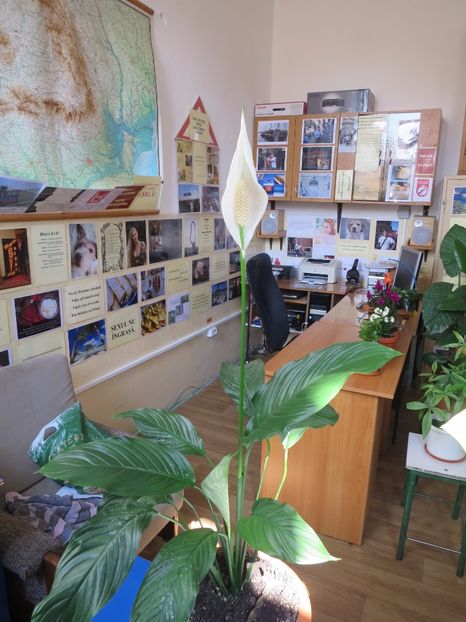  - Green office