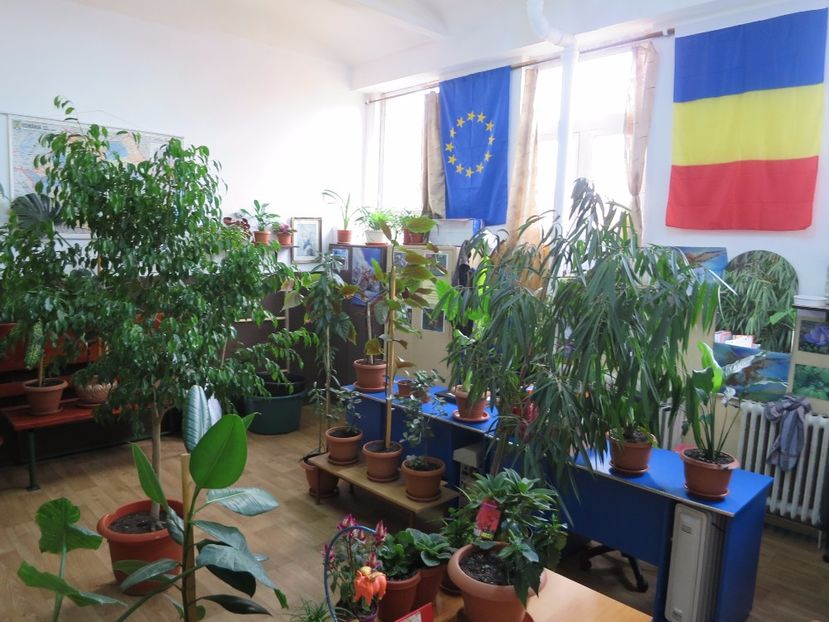  - Green office