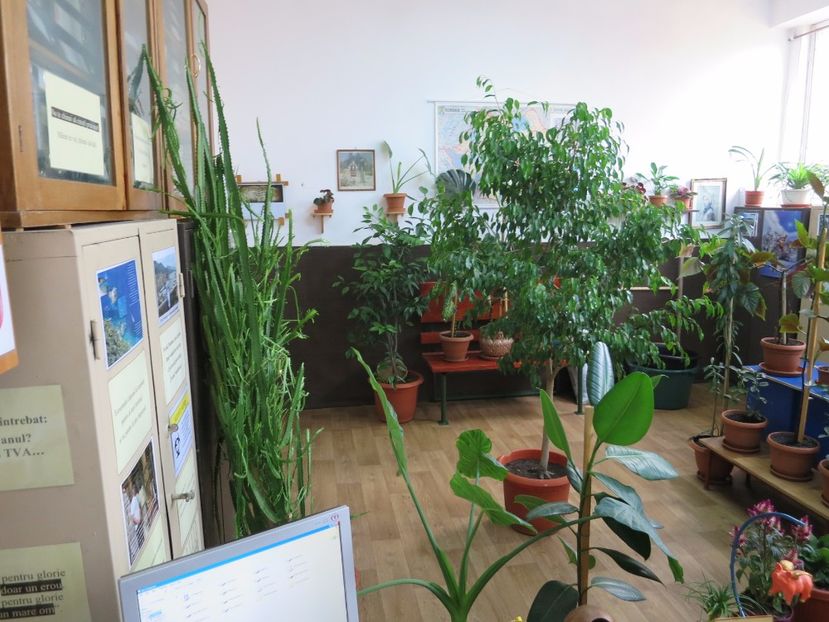  - Green office