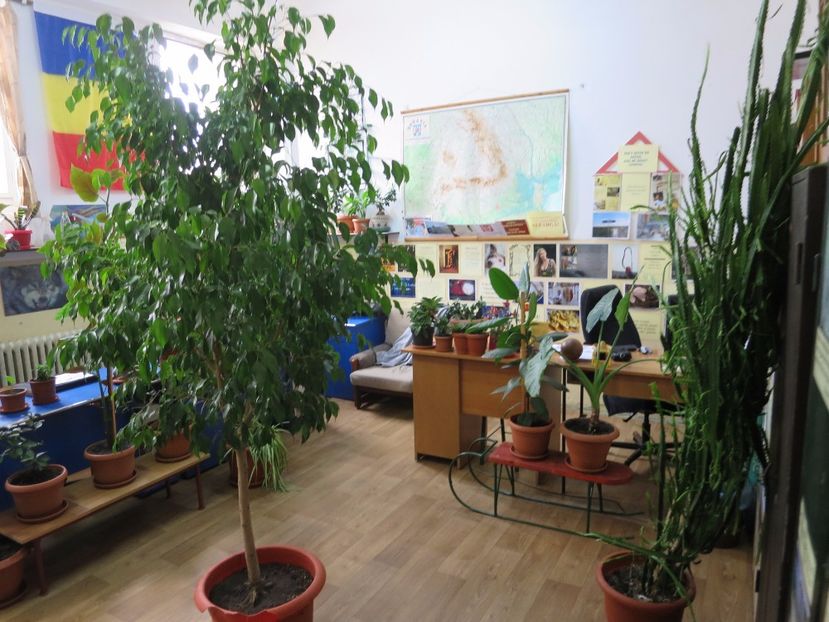  - Green office