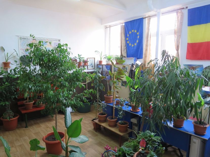  - Green office