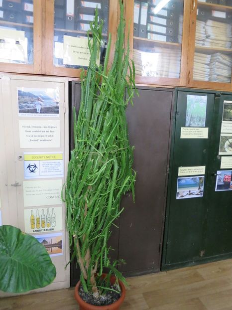  - Green office