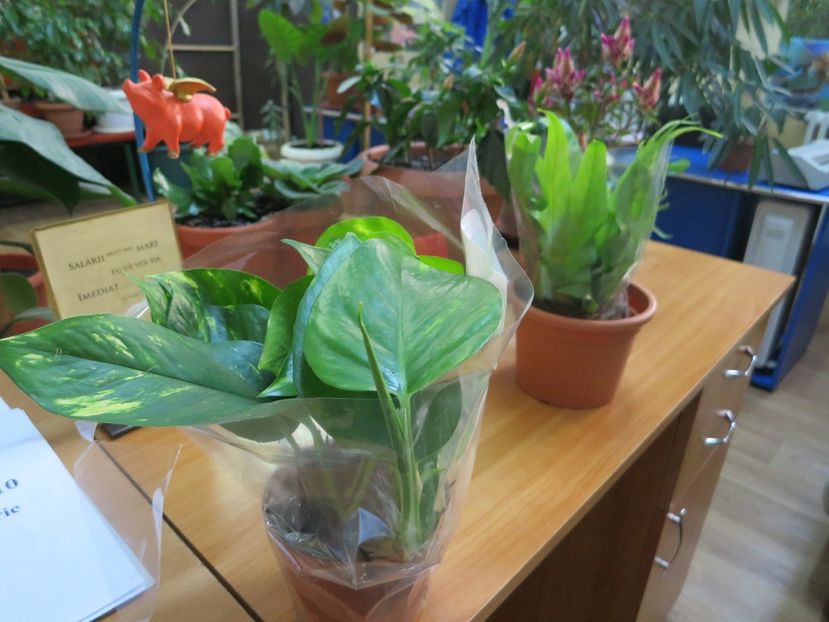  - Green office