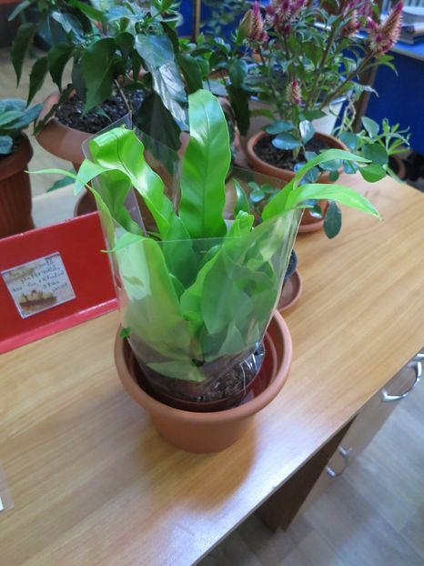  - Green office