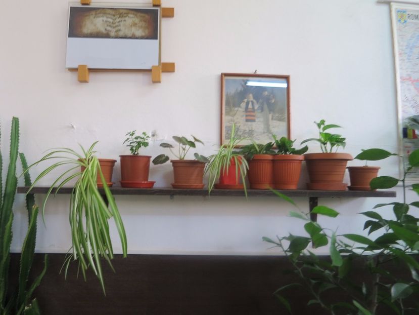  - Green office