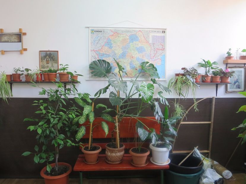 - Green office