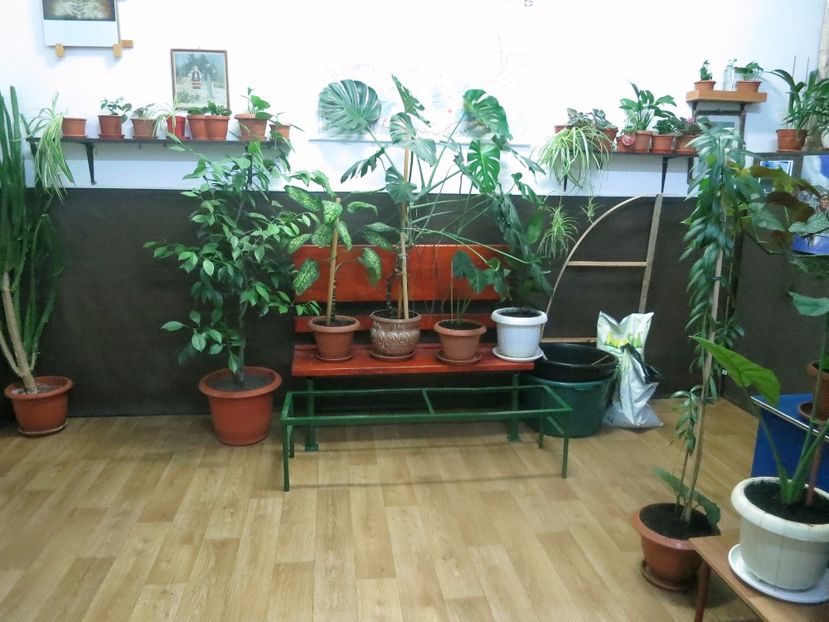  - Green office