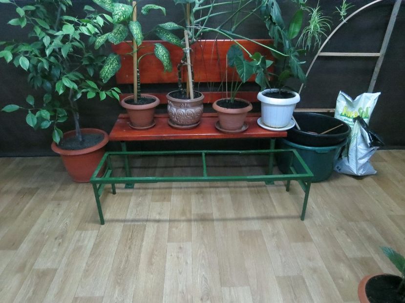  - Green office