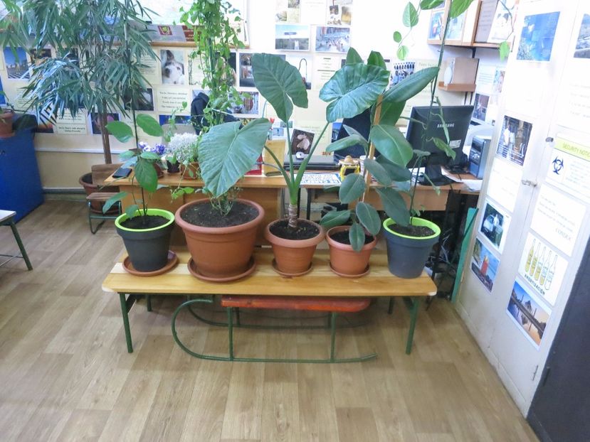  - Green office