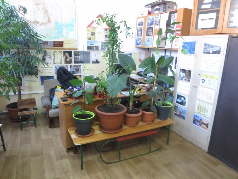  - Green office