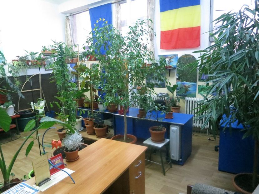 Picture 053 - Green office