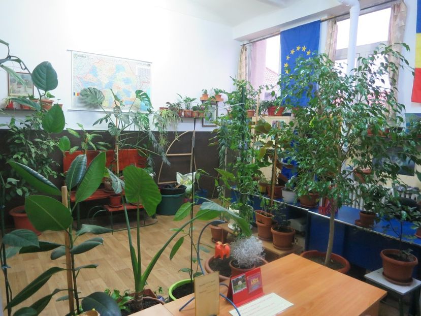 Picture 057 - Green office