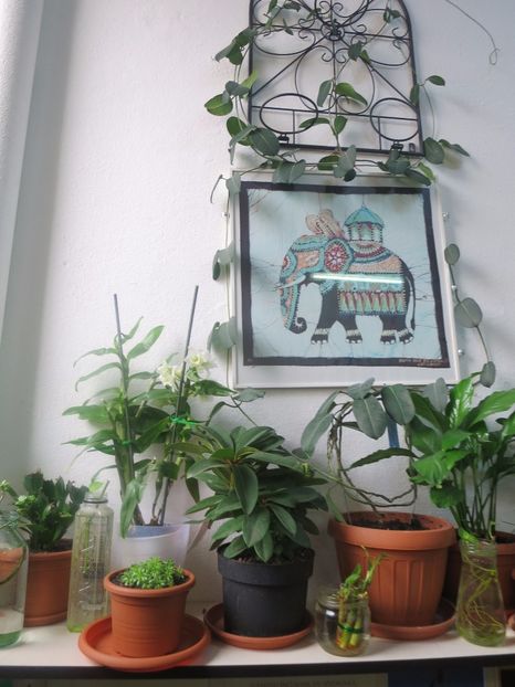  - Green office