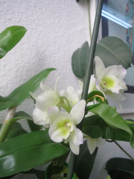  - Green office