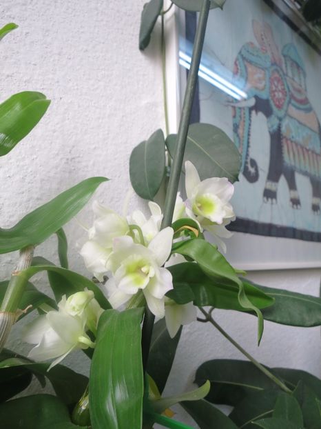  - Green office