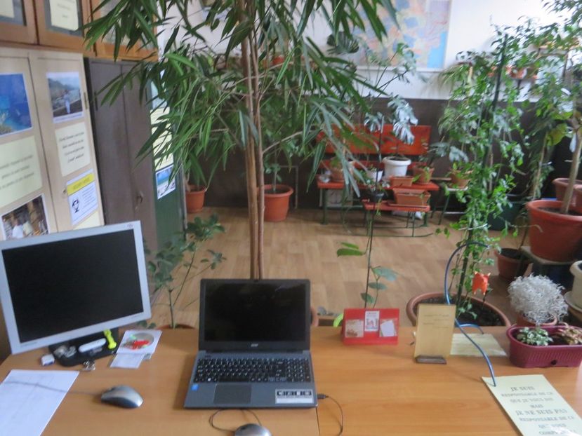  - Green office