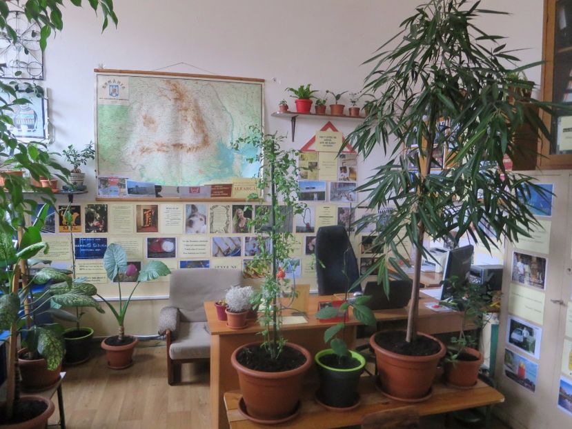  - Green office