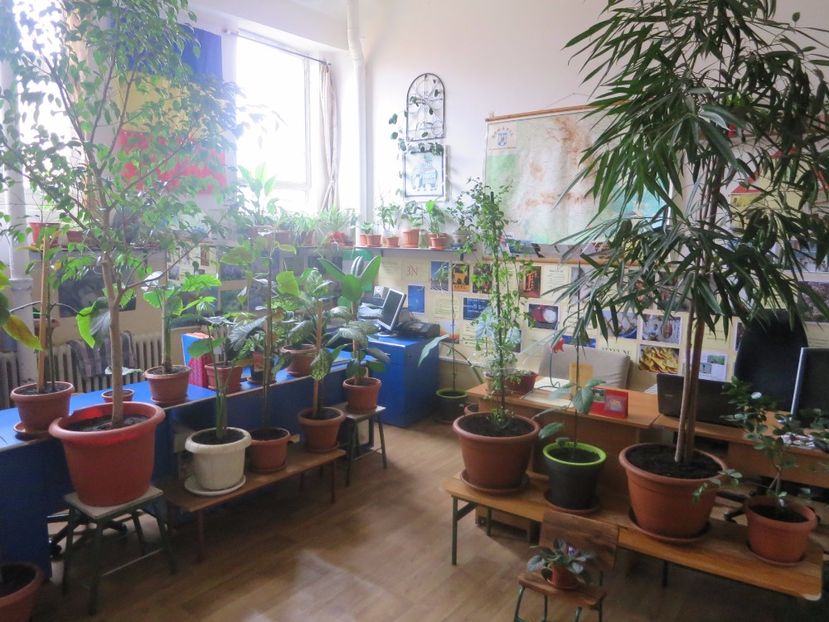  - Green office