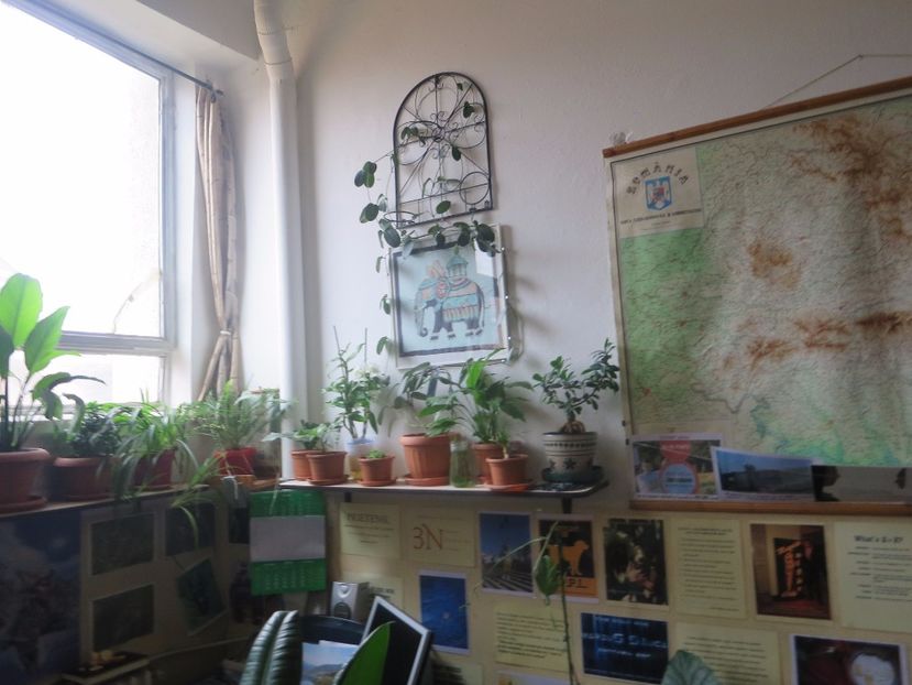  - Green office