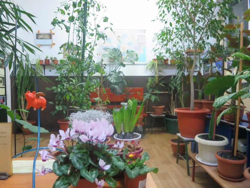  - Green office