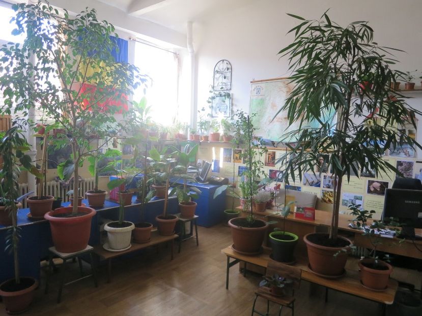  - Green office