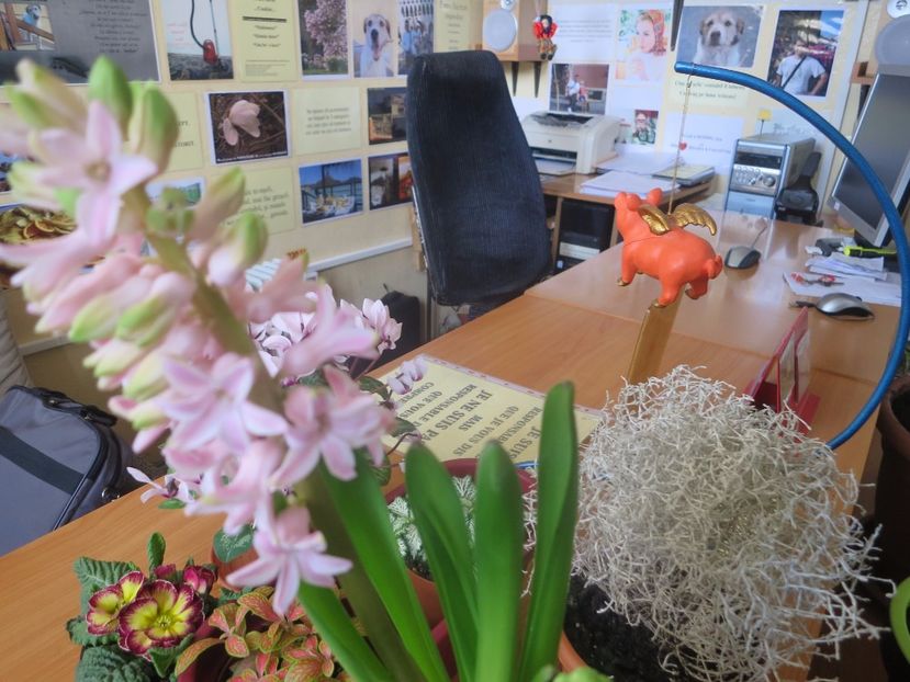  - Green office