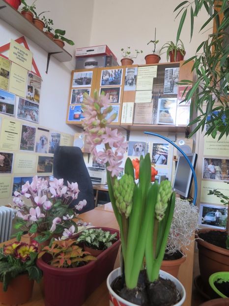  - Green office
