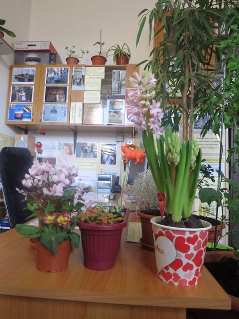  - Green office