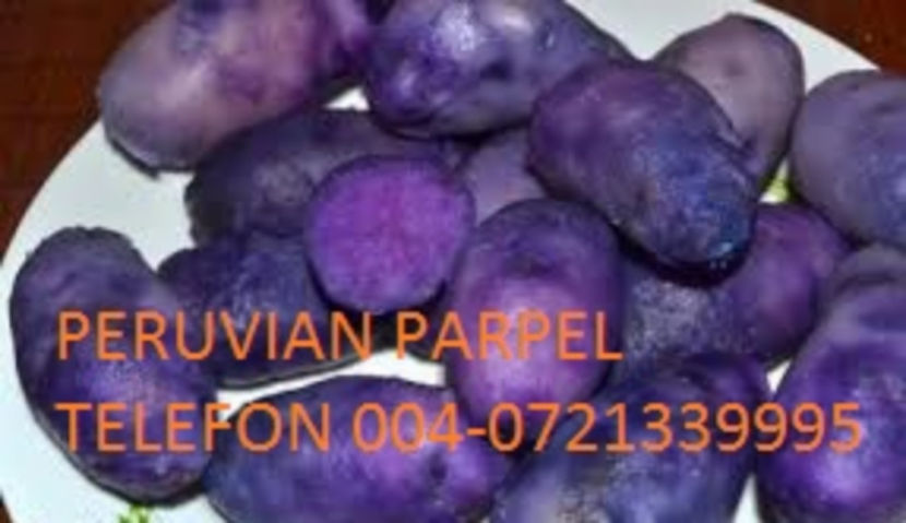Vand cartofi mov 0721339995 - Cartofi mov violet albastri Peruvian ACUM si in Romania 0721339995 Consum Samanta