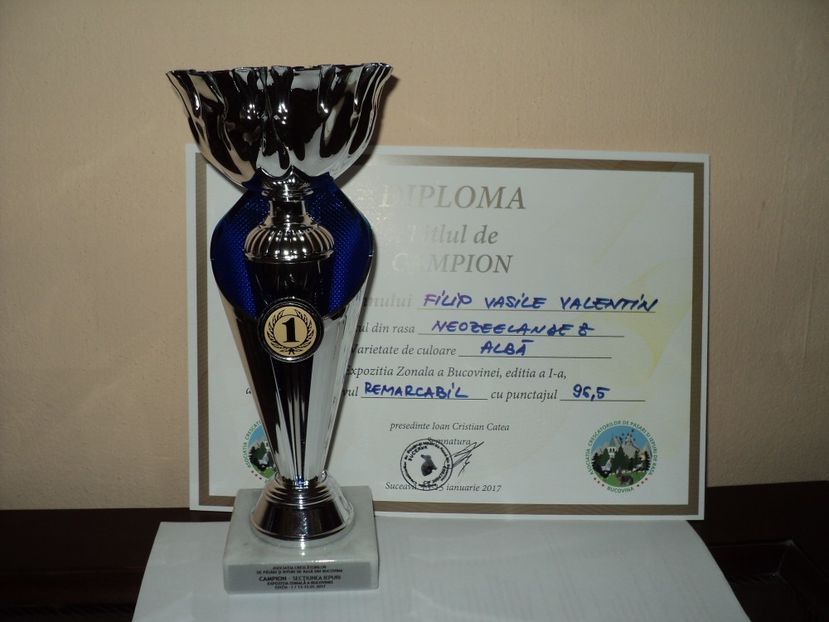 Campion neozeelandez alb-Suceava 2017 - participari si rezultate