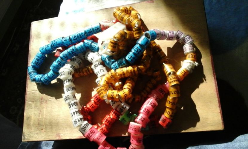  - VANZARE INELE DE COLECTIE