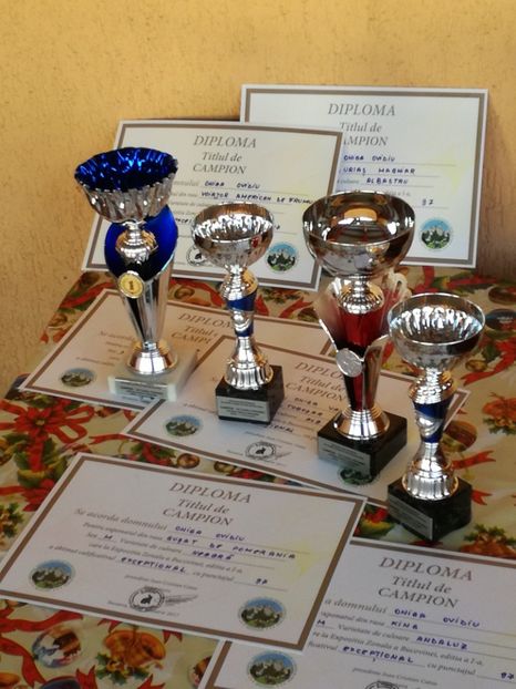  - EXPOZITIA JUDETEANA SUCEAVA 14 15IANUARIE 2017