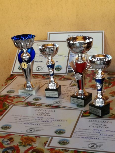  - EXPOZITIA JUDETEANA SUCEAVA 14 15IANUARIE 2017