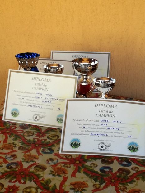  - EXPOZITIA JUDETEANA SUCEAVA 14 15IANUARIE 2017