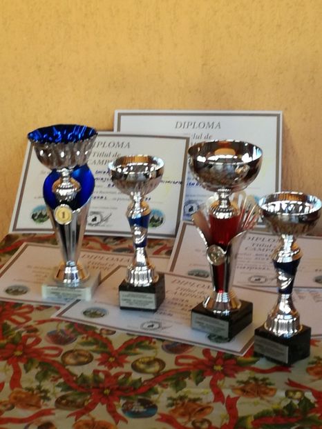  - EXPOZITIA JUDETEANA SUCEAVA 14 15IANUARIE 2017