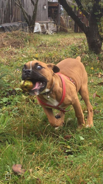 ce paza frate...noi...joaca! - 1 CONTACT