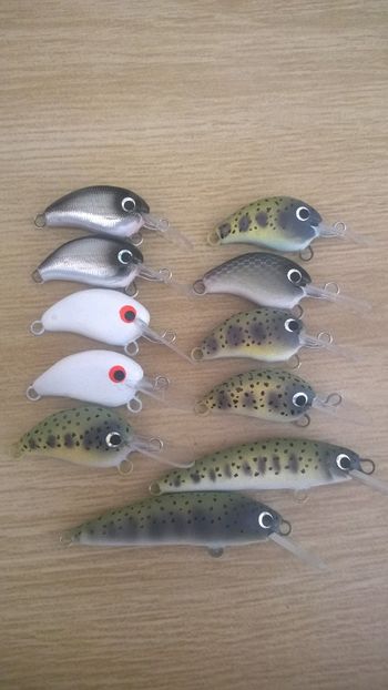  - cu gandul la pescuit