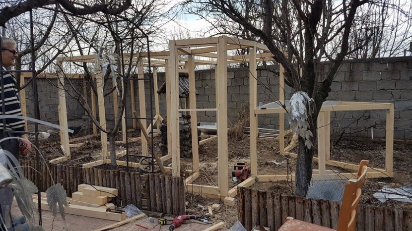 O NOUA VOLIERA IN DERULAR - VOLIERE