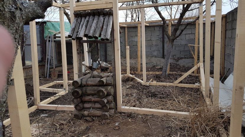 17036555_1847383005500341_1126643121_o - VOLIERE