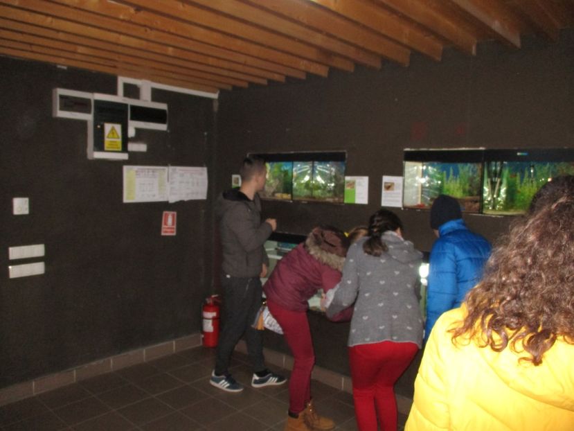  - 2017 - Excursie februarie