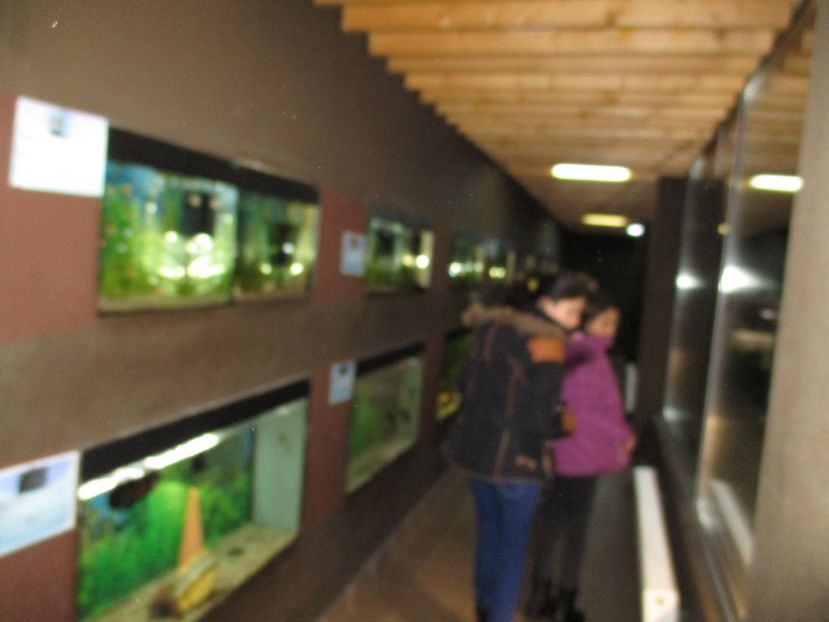  - 2017 - Excursie februarie