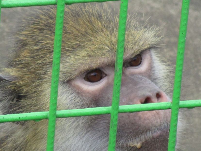  - 2017 - Excursie februarie