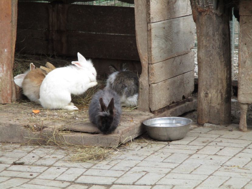  - 2017 - Excursie februarie