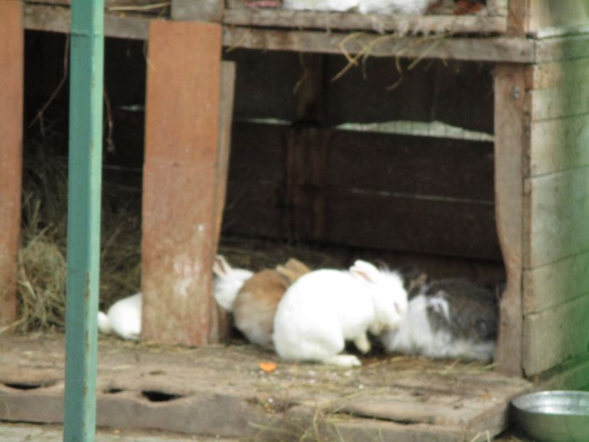  - 2017 - Excursie februarie