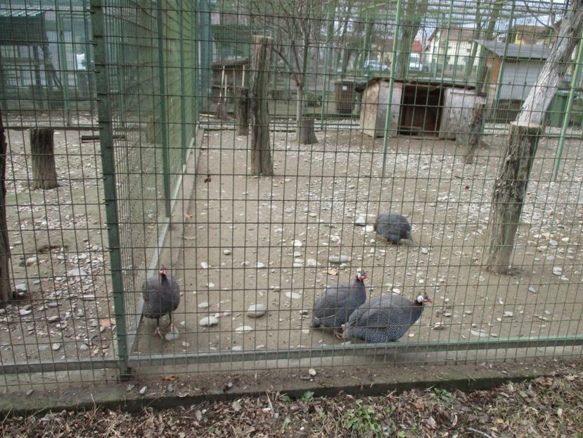  - 2017 - Excursie februarie