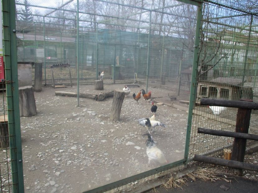  - 2017 - Excursie februarie