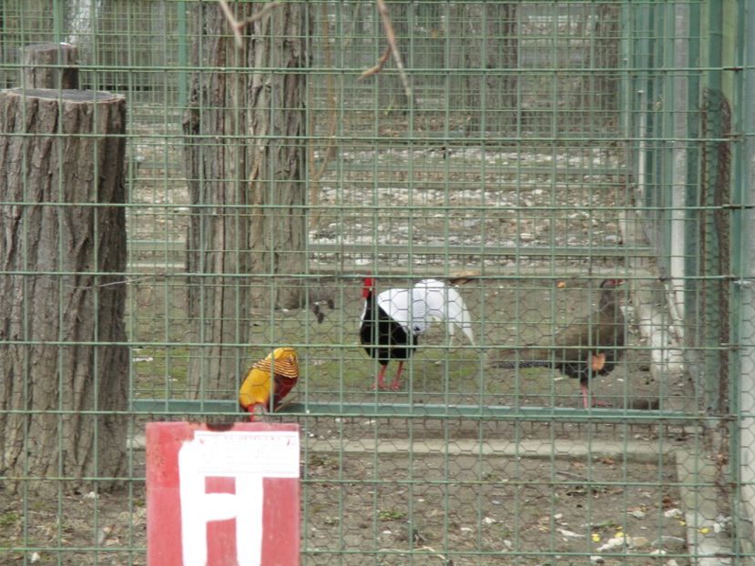  - 2017 - Excursie februarie