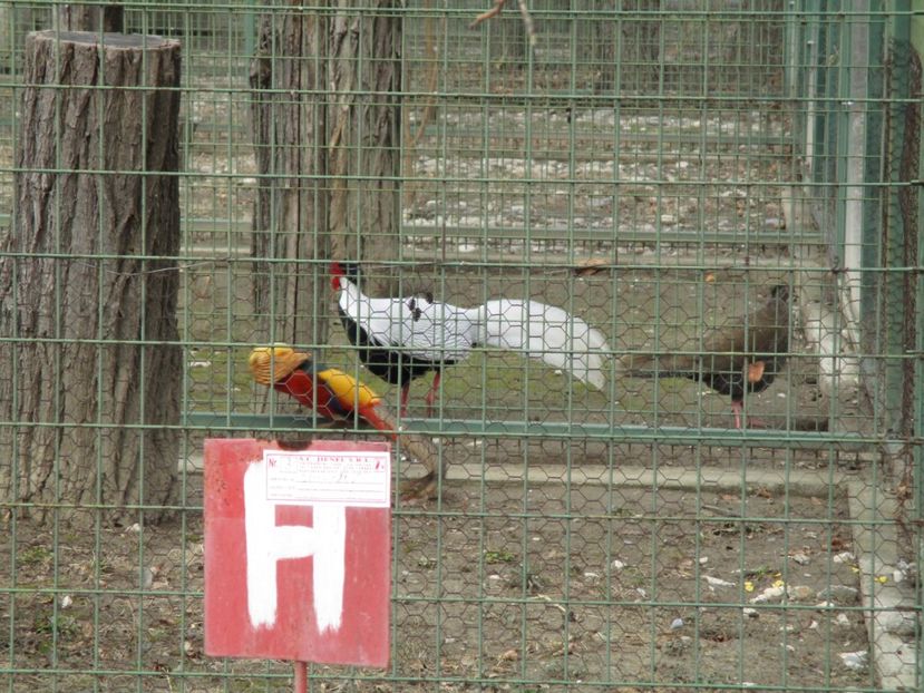  - 2017 - Excursie februarie